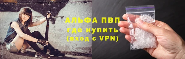 стаф Белокуриха