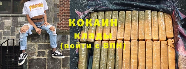 стаф Белокуриха