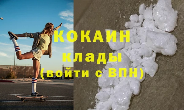 стаф Белокуриха