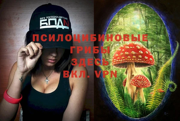 стаф Белокуриха