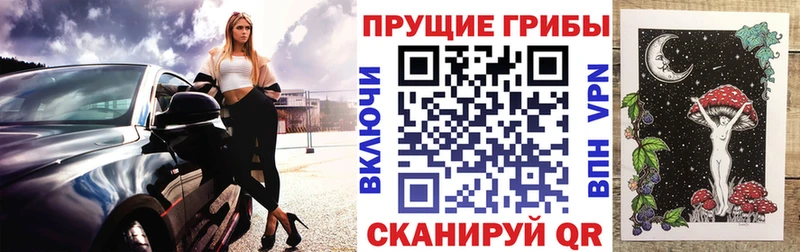 как найти наркотики  Ачинск  Псилоцибиновые грибы мицелий 